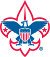 scouts bsa awards