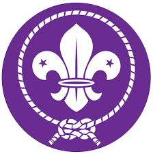 International Scouting